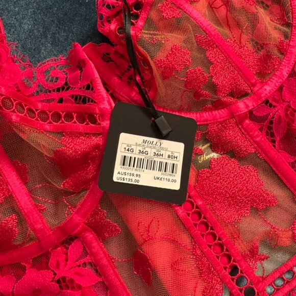 NWT Honey Birdette Molly Red Lace Bustier Size 36G / 36H (14G / 80H) - Picture 5 of 8